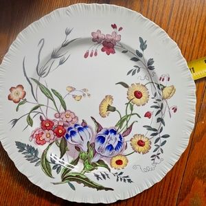 Wedgewood feather edge dinner plate Made in England circa1920-1957  Ranunculus